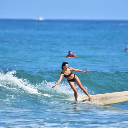 Surf