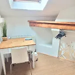 Surf 比亚里茨